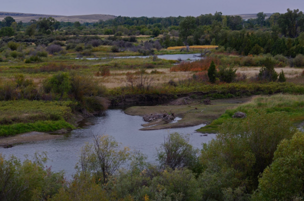 Headwaters State Park