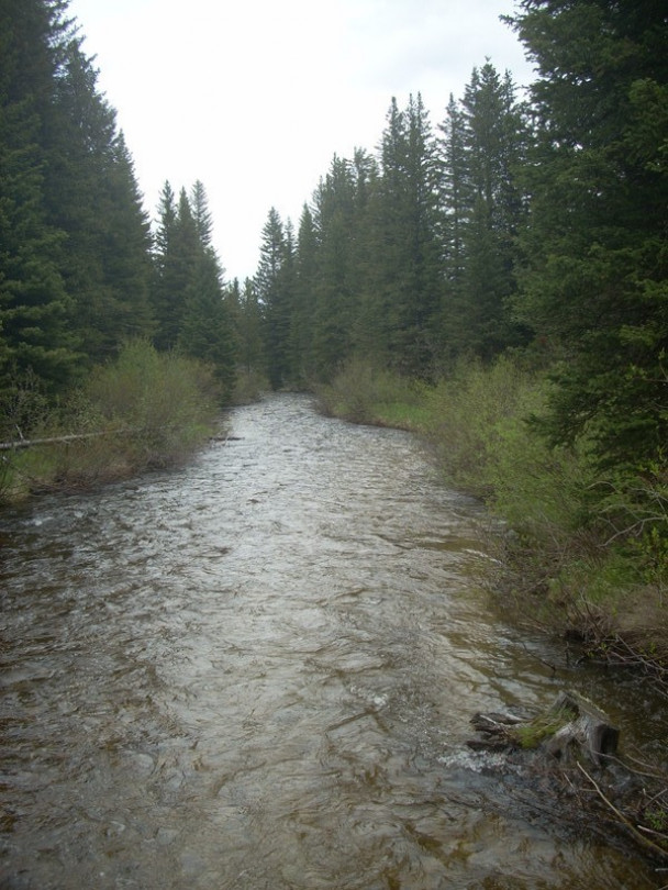 Gallatin River