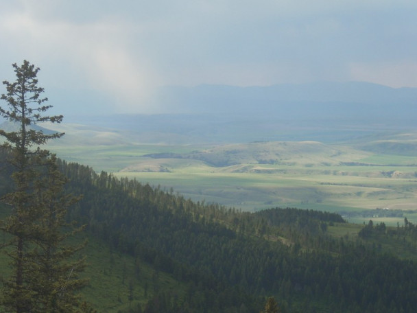 Gallatin Valley Spring