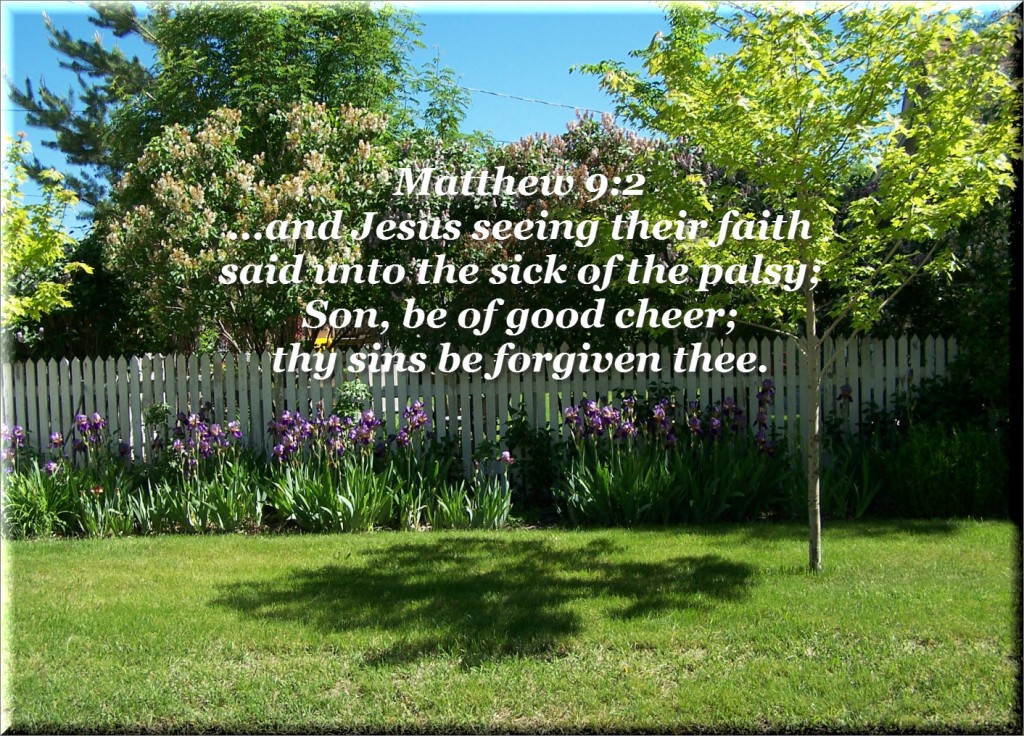 Jesus seeing their faith Matthew 9 -2